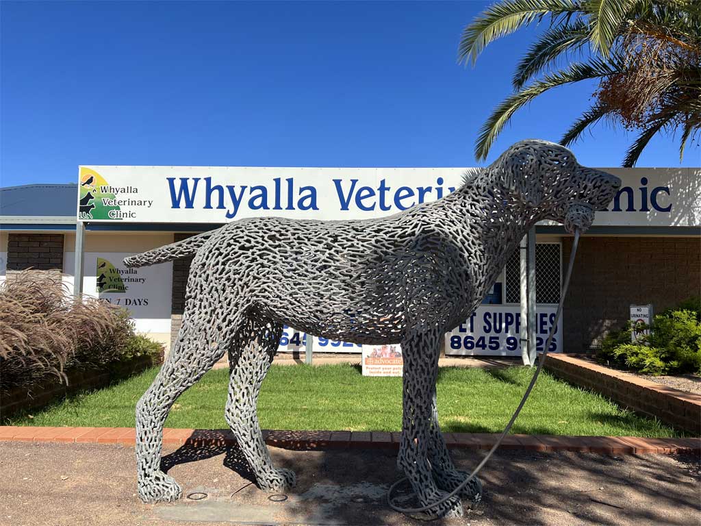 The Loaded Dog Statue at Whyalla Veterinary Clinic